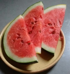 watermelon slices.jpg